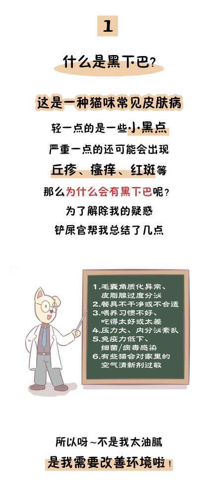 猫主子|猫粮太油能造成黑下巴？辟谣：没必然因果关系，主要是这6个原因