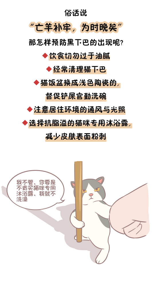 猫主子|猫粮太油能造成黑下巴？辟谣：没必然因果关系，主要是这6个原因
