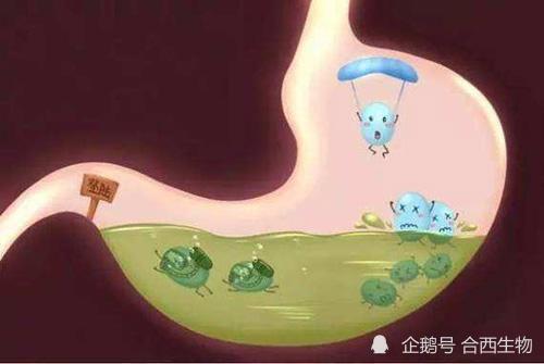 幽门螺旋杆菌|幽门螺旋杆菌的天敌出现了