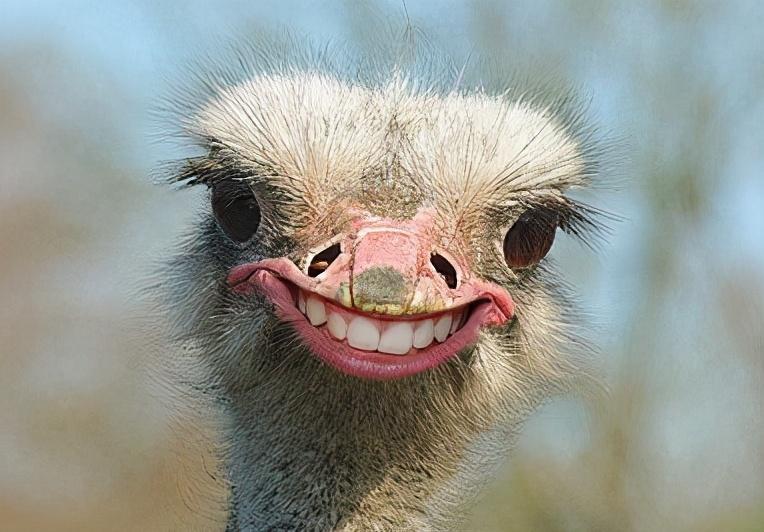 开着我的波尔皮跟着导航杀往工地,目前这个堡坎唯一的入口是从蚂蟥梁