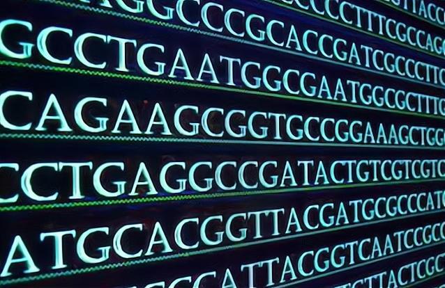 超级计算机|为什么人类可以造出超级计算机，却连最简单的细胞都造不出来？