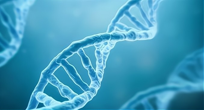 超级计算机|为什么人类可以造出超级计算机，却连最简单的细胞都造不出来？