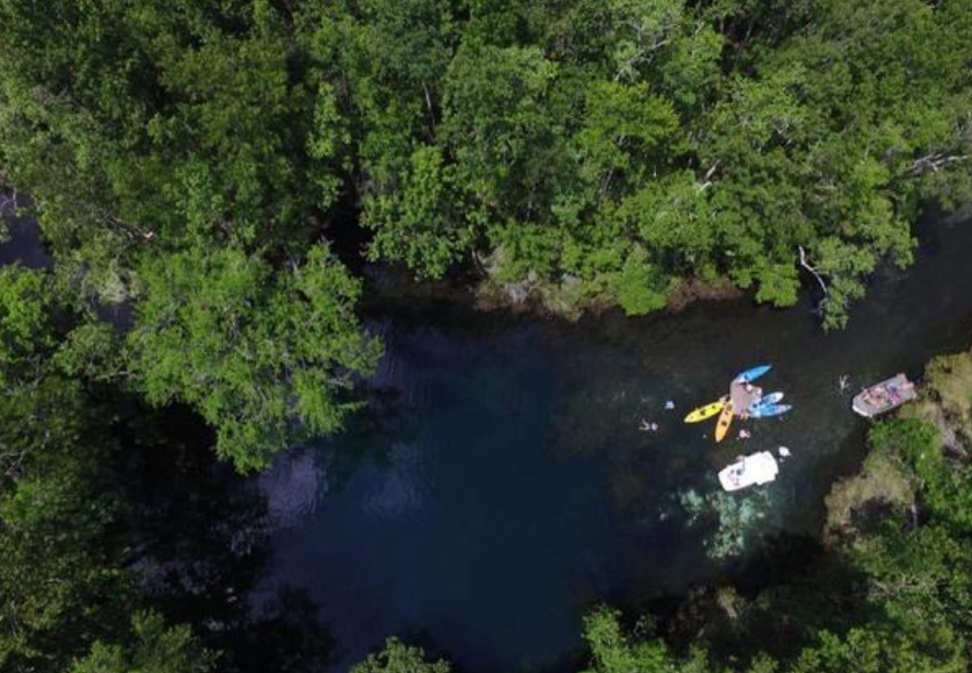 食脑虫|致死率高达97％！这次，美国人该怎么办？