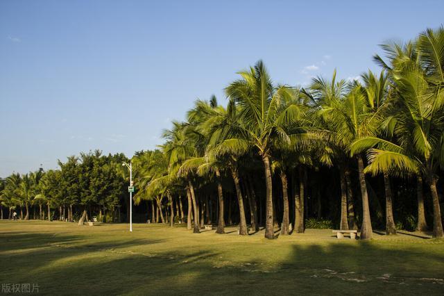 這裡也是個免費的海濱生態公園,由於在深圳西面不太市中心的地方