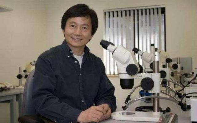 高华健|他是中国培养的天才，中美德三国都在抢他，最终加入的国籍是美国