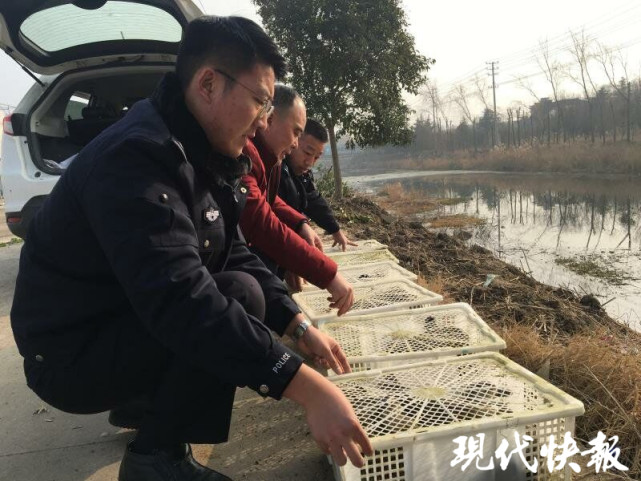 來回奔波於連雲港市贛榆和海州區等地,鼓動居民捕捉野鴨,並以大野鴨每