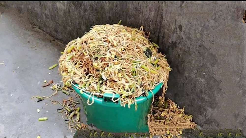 学校被曝学生浪费粮食,倒出的营养餐溢出垃圾桶,公职人员被停职