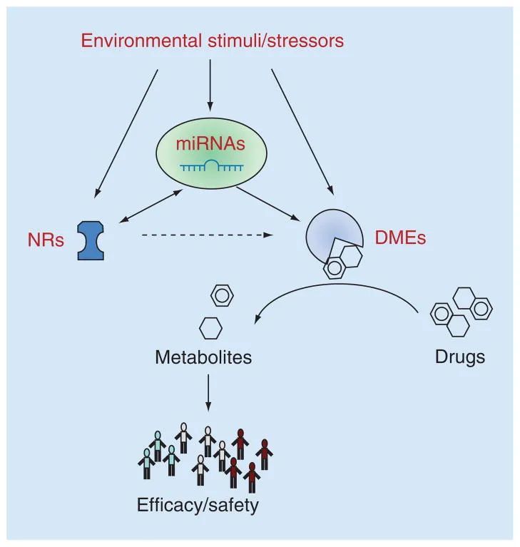 mirna|这项曾与诺奖失之交臂的发现，今年还会继续陪跑么？