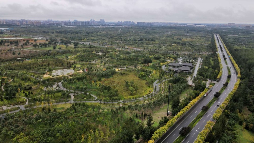 绿心森林公园|官宣！今天上午，城市绿心森林开园