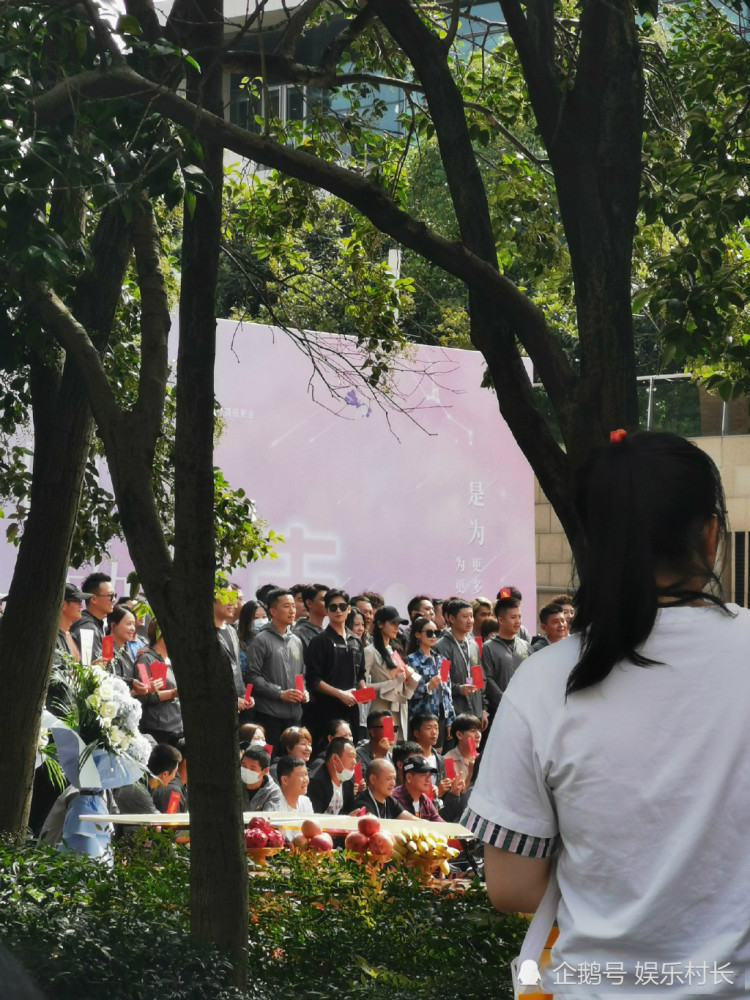 你是我的荣耀|《你是我的荣耀》开机，迪丽热巴杨洋亮相男帅女靓，二人甜蜜互动CP感强