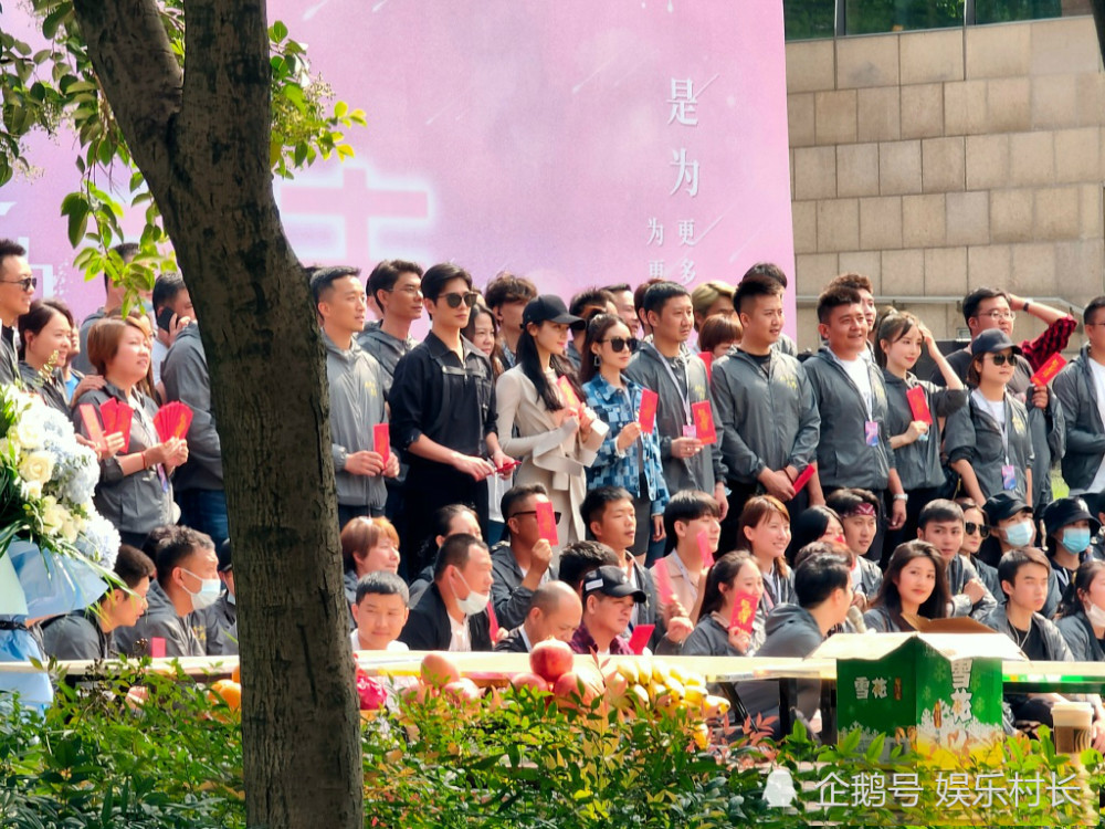 你是我的荣耀|《你是我的荣耀》开机，迪丽热巴杨洋亮相男帅女靓，二人甜蜜互动CP感强
