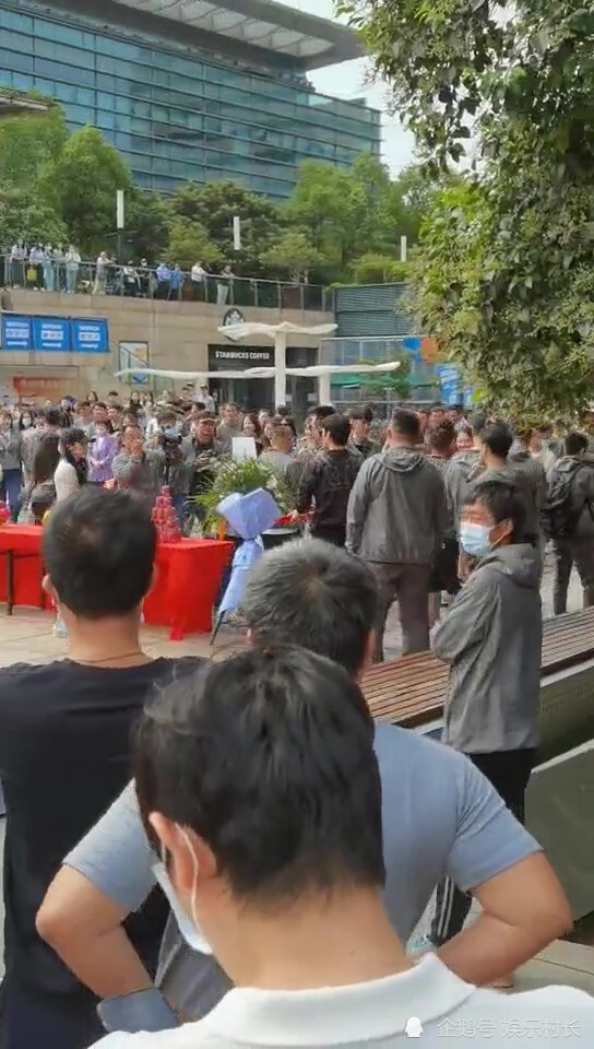 你是我的荣耀|《你是我的荣耀》开机，迪丽热巴杨洋亮相男帅女靓，二人甜蜜互动CP感强