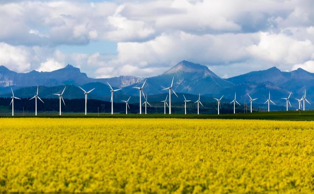 世界十大农业最发达的国家 腾讯新闻