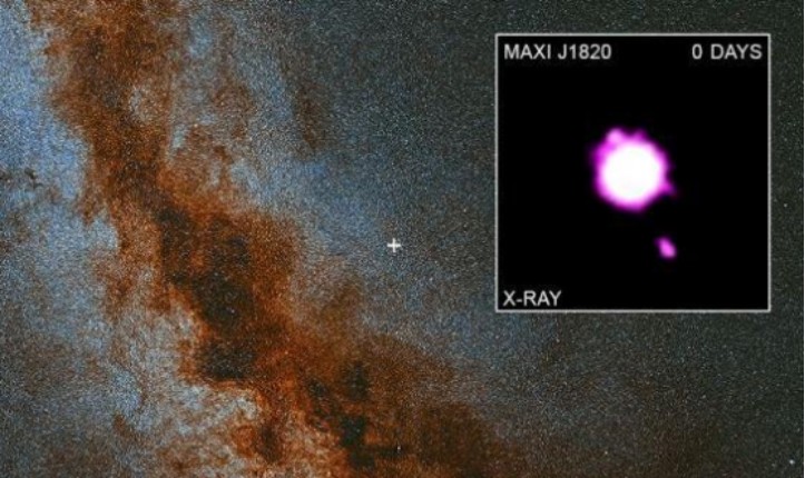 恒星|天文学家捕捉到罕见黑洞吞噬恒星，是万年一见的天文奇观