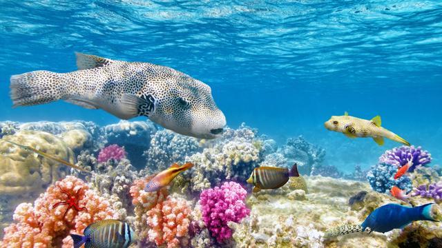水资源|地球文明在轮回？2000米深海发现庞大结构，疑似机场建筑