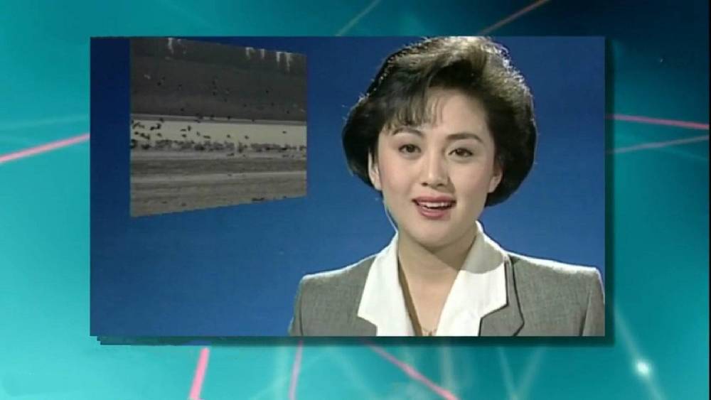 海霞不愧是央视女神,年轻时容貌精致,今48岁穿搭靓丽成时尚典范
