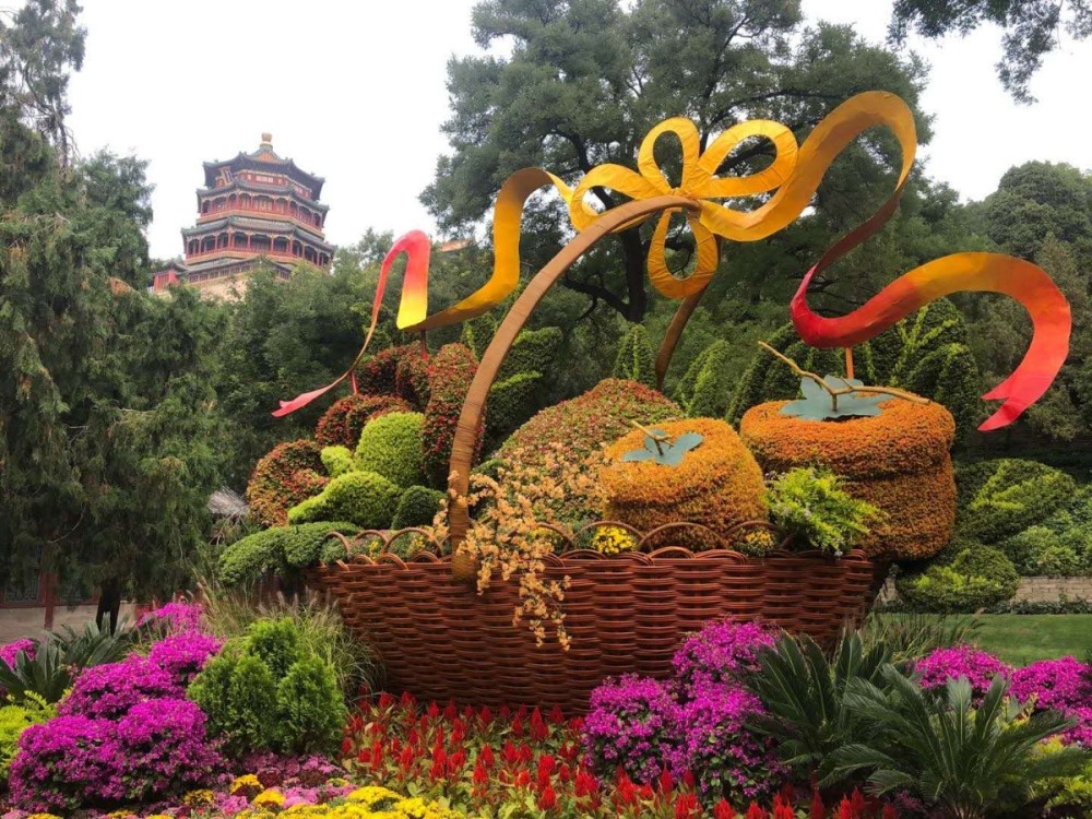 金桂银桂丹桂飘香颐和园30万平米花卉迎双节