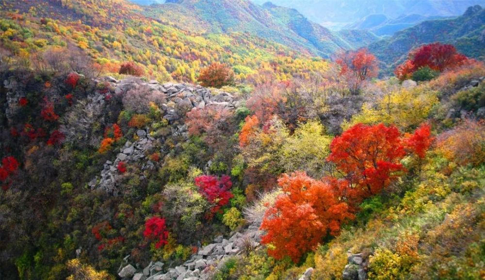 喇叭沟门乡|趁阳光正好 趁微风不燥 来一场旅行可好？