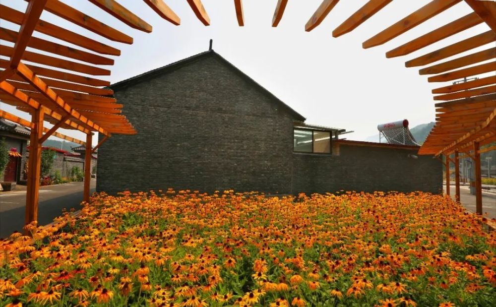 喇叭沟门乡|趁阳光正好 趁微风不燥 来一场旅行可好？