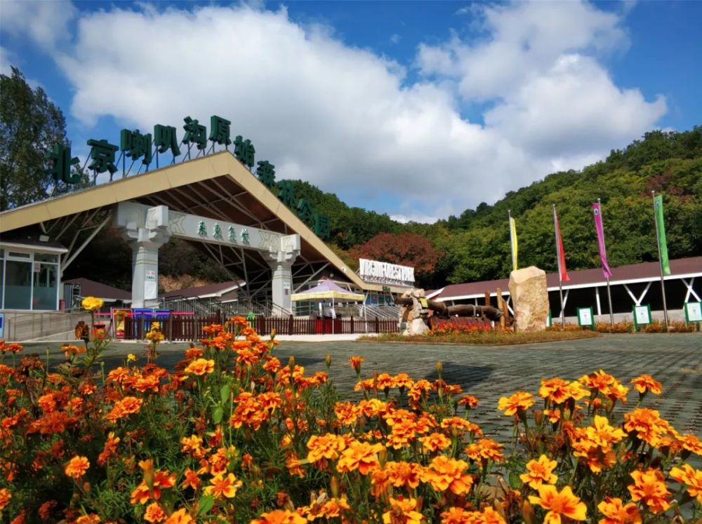 喇叭沟门乡|趁阳光正好 趁微风不燥 来一场旅行可好？