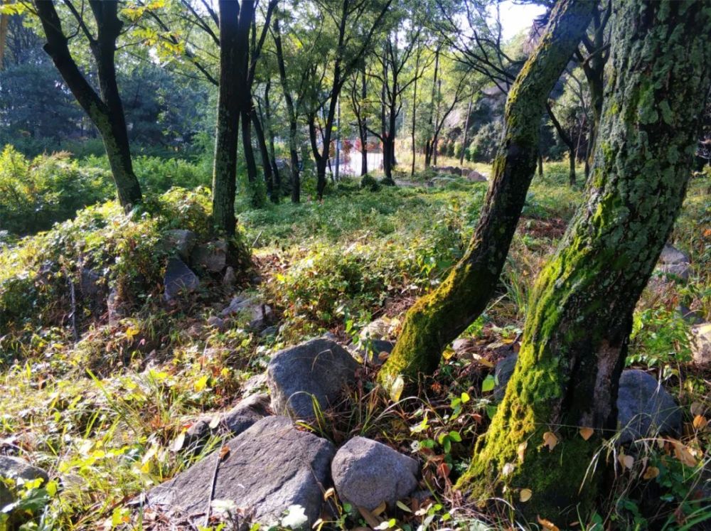 喇叭沟门乡|趁阳光正好 趁微风不燥 来一场旅行可好？