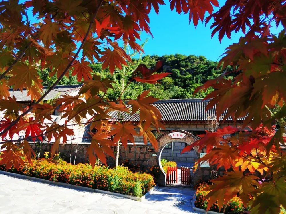 喇叭沟门乡|趁阳光正好 趁微风不燥 来一场旅行可好？