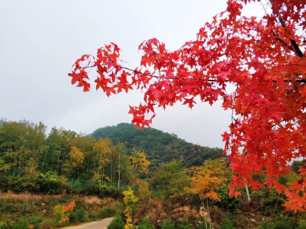 喇叭沟门乡|趁阳光正好 趁微风不燥 来一场旅行可好？