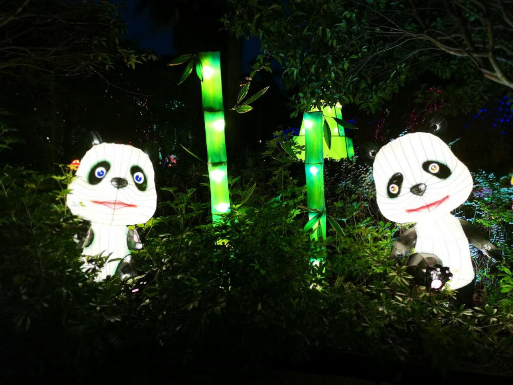 月夜悦团圆秀湖中秋主题灯会梦幻开启