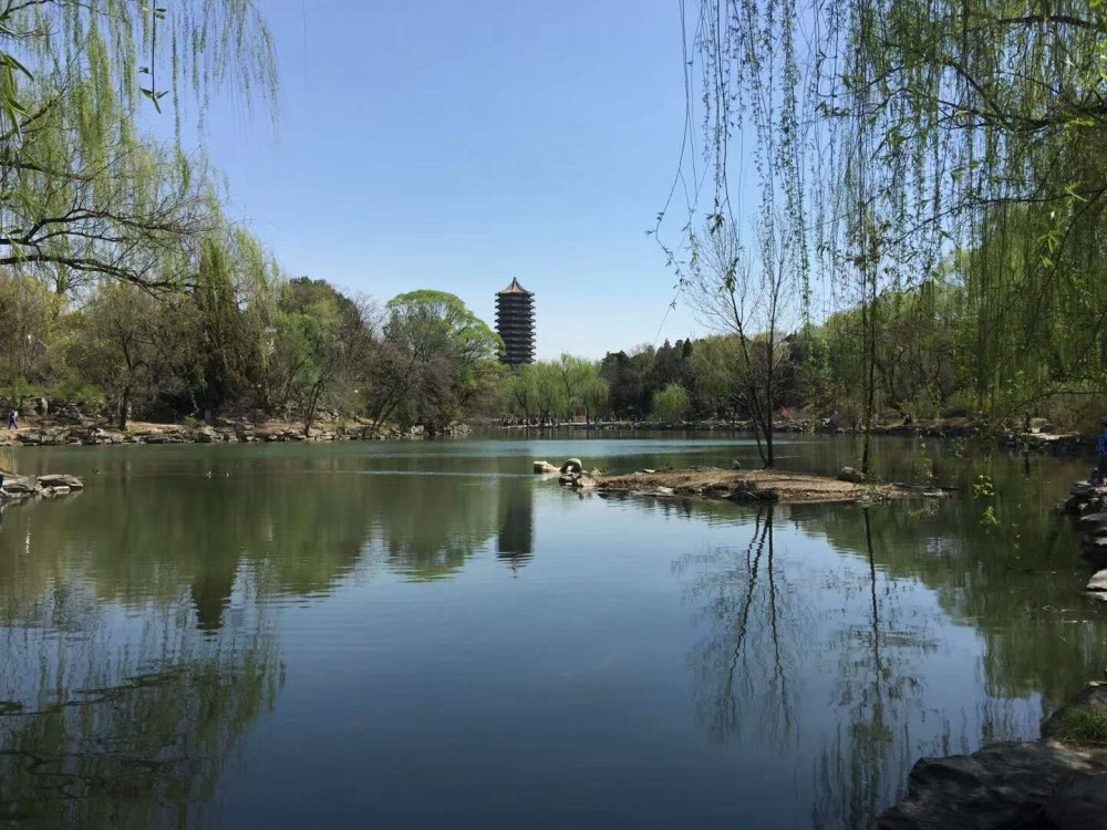 985|用人单位不会告诉你的那些、非211、985高校的沧海遗珠