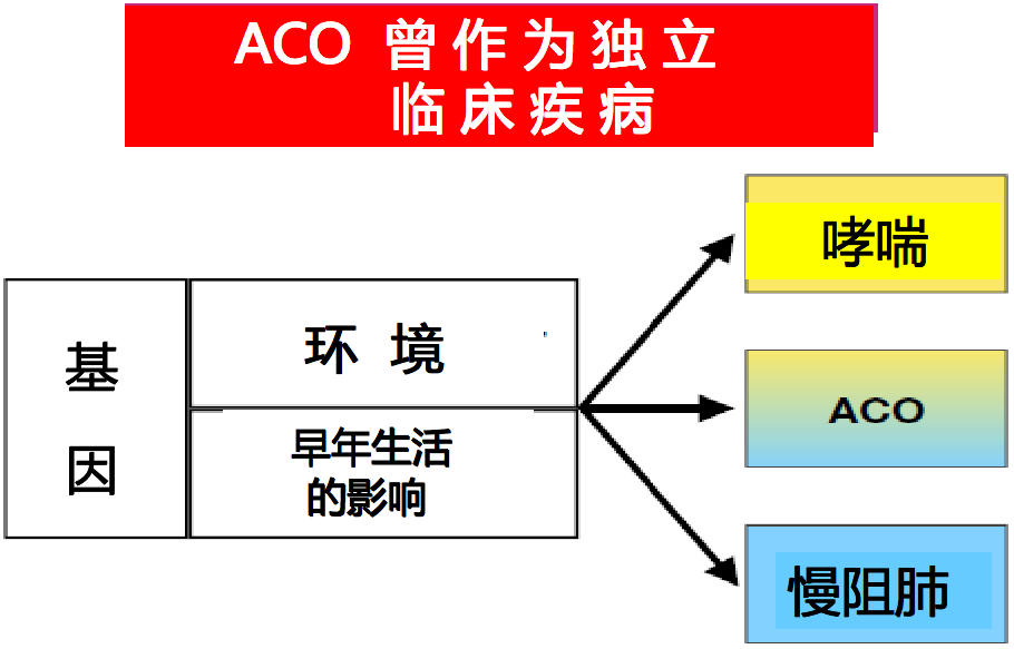 四,哮喘和慢阻肺重迭(aco)發病機理的新概念西班牙呼吸學會識別哮喘