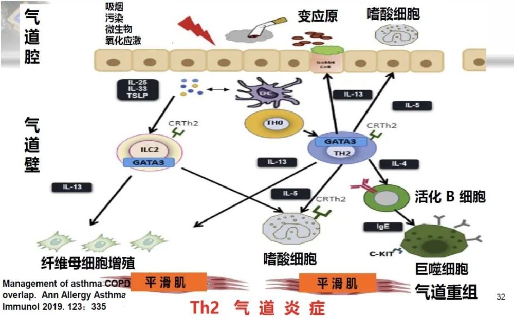 蔡柏蔷教授哮喘和慢阻肺重叠尚无明确诊断标准缺少临床药理研究该如何