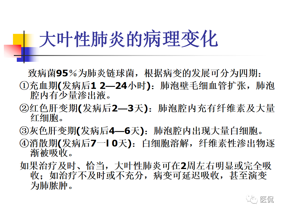 大叶性肺炎|大叶性肺炎的影像诊断