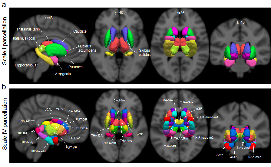 就业情况也将纳入评价教育部明确双一流不搞终身制