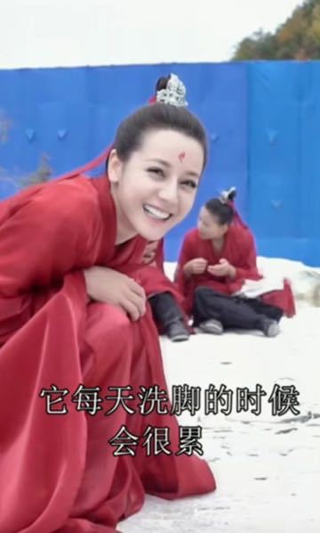 迪丽热巴|热巴被虫子吓到跳脚，杨洋“问号脸”，网友：没有心疼甚至想笑