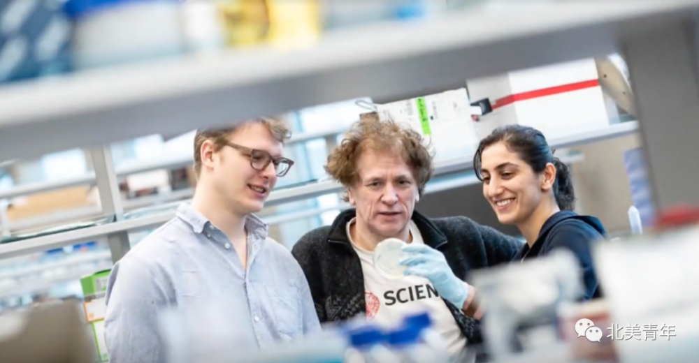 病毒|新冠希望！UBC研发抗新冠药物，重症患者服下病毒2天消失