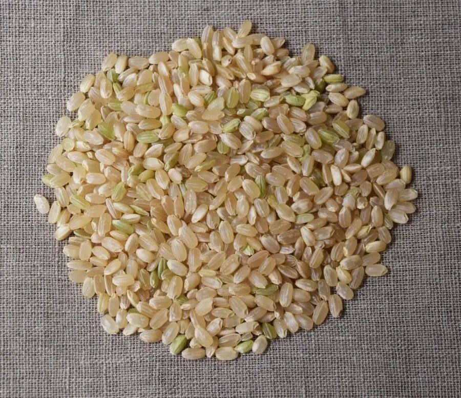 国际癌症研究机构|食不厌精，脍不厌细：伙食真的越精细越好吗？