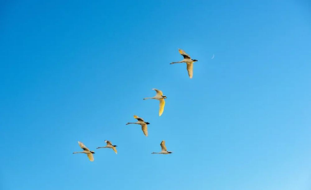 岳飞|30首爱国诗词，总有一首让你热血澎湃！