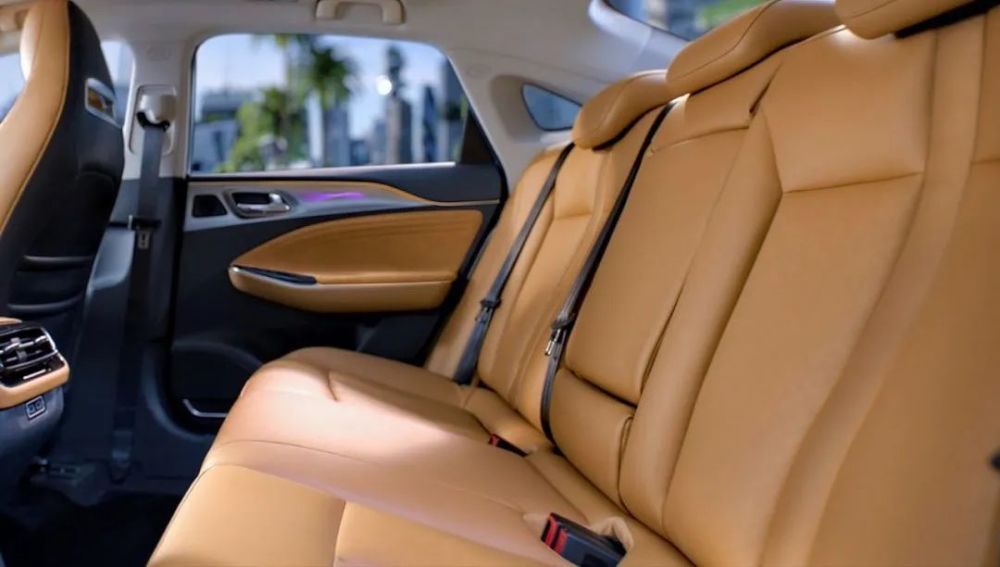 燃油车|开过纯电动车就再也回不去了！北京车展上这款车可以说明一切