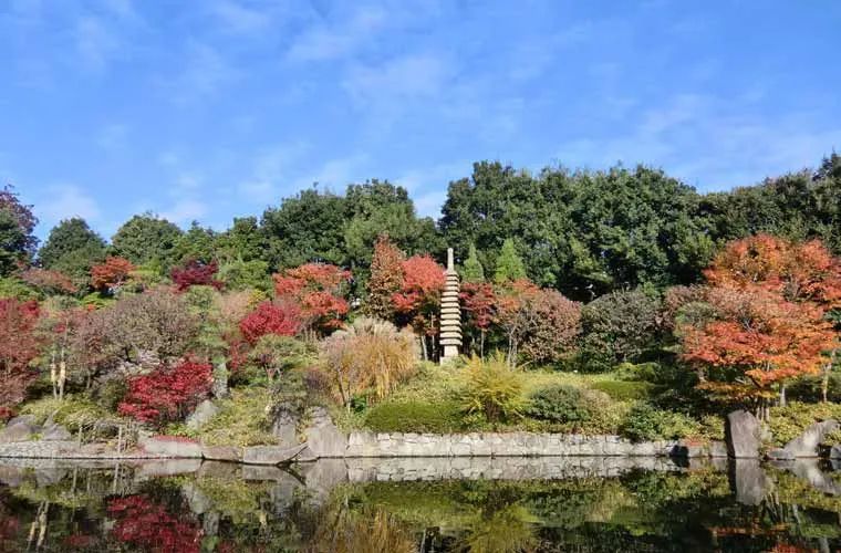 日本关东地区28个最佳红叶观赏地 你最想去哪里 腾讯新闻