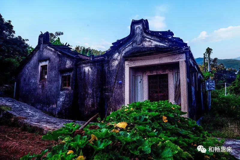 坑仔村,惠来县最先建立农民协会的乡村!