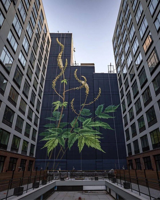 女画家不满足于纸上画画将大楼外墙当画布网友这才是艺术