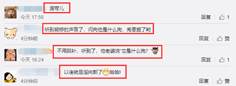 郭碧婷|向佐低调秀恩爱，带郭碧婷外出遛弯，看到狗狗后郭碧婷温柔发声