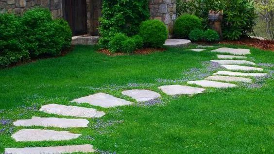 汀步—杂乱与韵律的交融之美_腾讯新闻