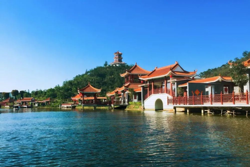 明天下午3点直播三合温泉票火龙果免费送