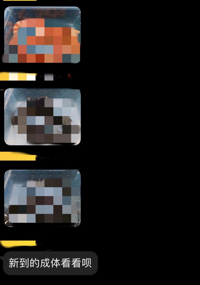 长春一男孩网购宠物蛇被咬伤网上仍有蝎子 蜘蛛等活体动物售卖 腾讯新闻