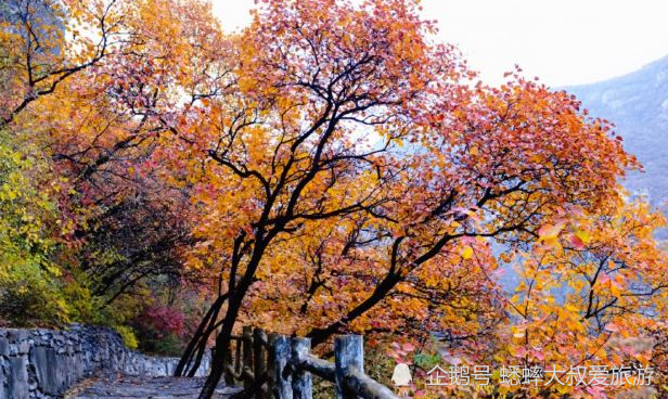 北京|北京有个色彩斑斓景点，零星绿色点缀其中，美若一幅天然画卷！