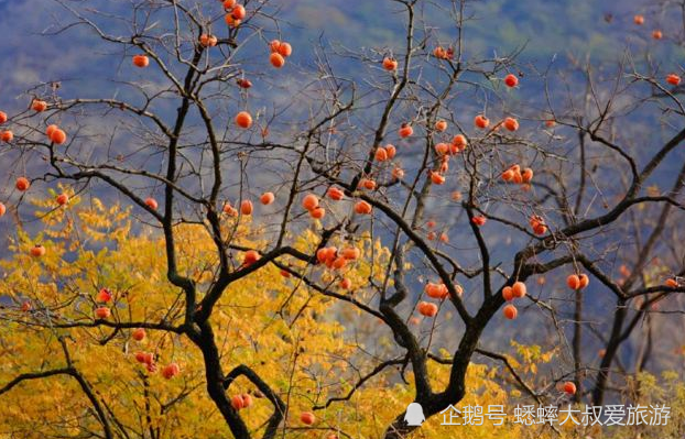 北京|北京有个色彩斑斓景点，零星绿色点缀其中，美若一幅天然画卷！