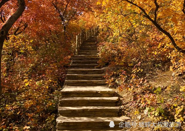 北京|北京有个色彩斑斓景点，零星绿色点缀其中，美若一幅天然画卷！