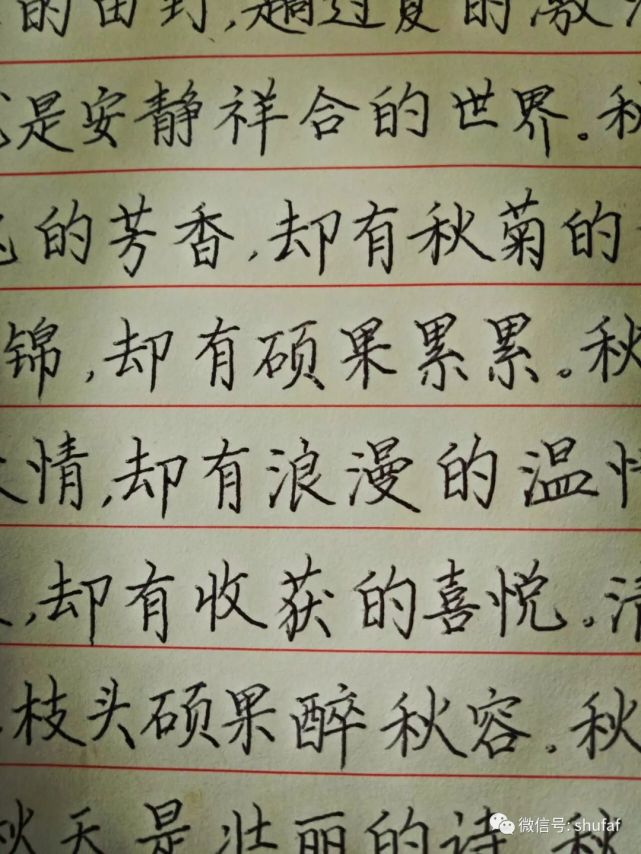 圓珠筆手寫楷書作品欣賞秋天散文