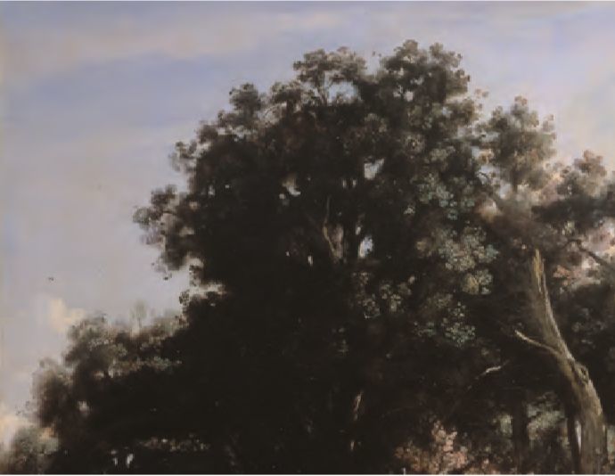 毕方|漫天血光中，毕方的咒语在天地间回响，在太阳与黑暗之间回响